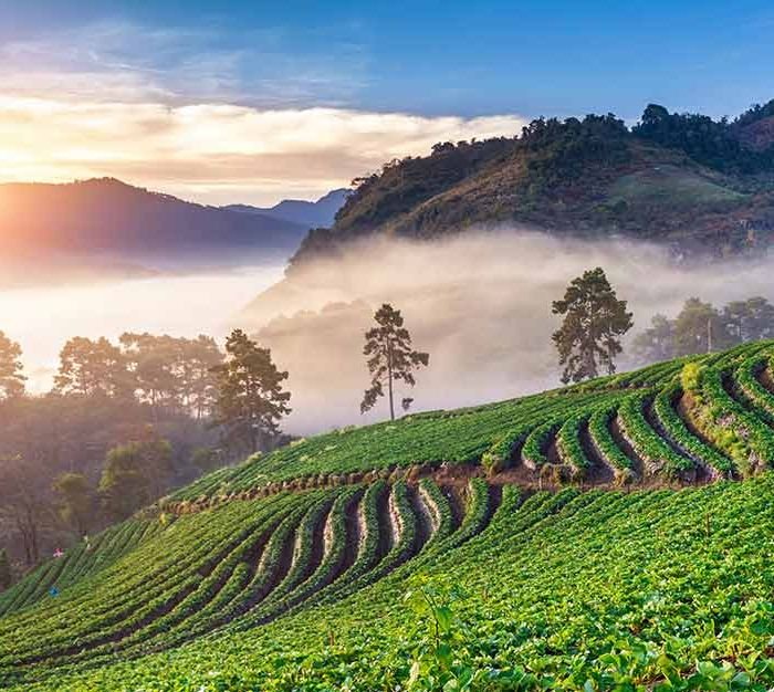 Hanoi to Singapore Travel Pass (Demo)